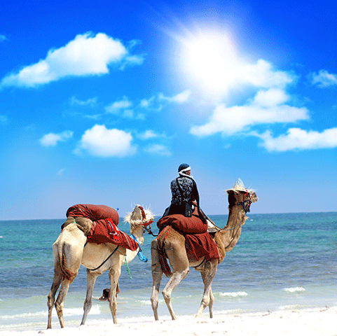 Tourist Visa